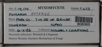 Image Associated With the Occurence